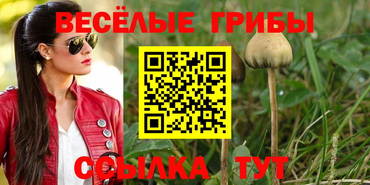 Псилоцибиновые грибы GOLDEN TEACHER  как найти закладки  Кулебаки  Вход с VPN 