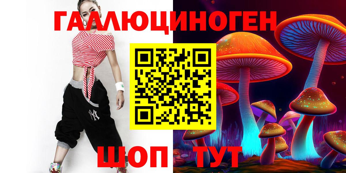 Галлюциногенные грибы Psilocybe Кулебаки